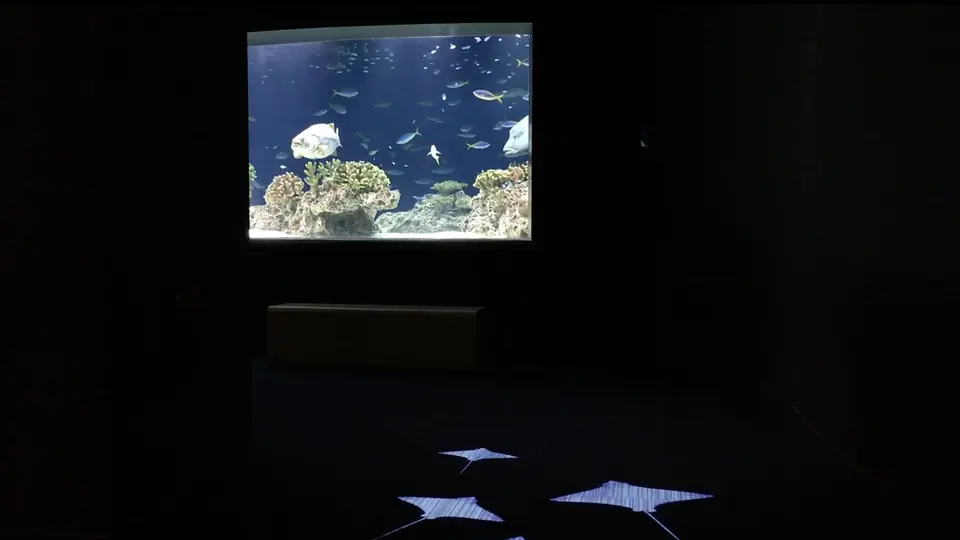 マリンワールド海の中道のオアシス水槽前。マダラトビエイをイメージした光の演出が床に映し出される様子