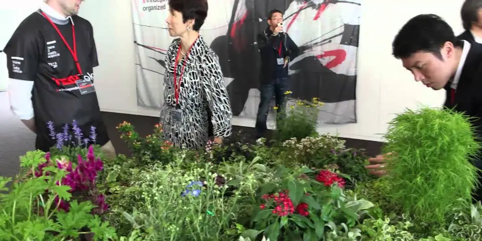 Sound Gardening：センサーを備えた植物に触れて音楽を奏でるインタラクティブなサウンドインスタレーションの様子