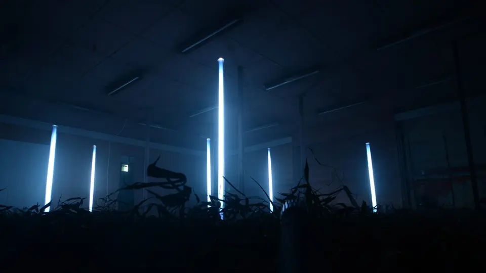 LEDを仕込んだアクリルポールが並ぶサウンドインスタレーション「on the ground」の展示風景